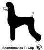 Scandinavian T-Clip
